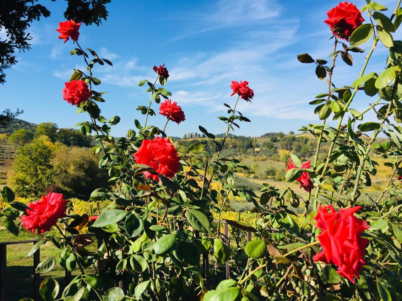 סן ג'ימיניאנו Podere Bellavista מראה חיצוני תמונה